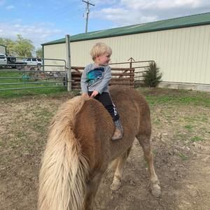 Meet your Posher, Carl